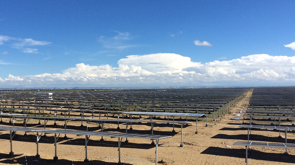 9001cc金沙以诚为本(中国)有限公司官网